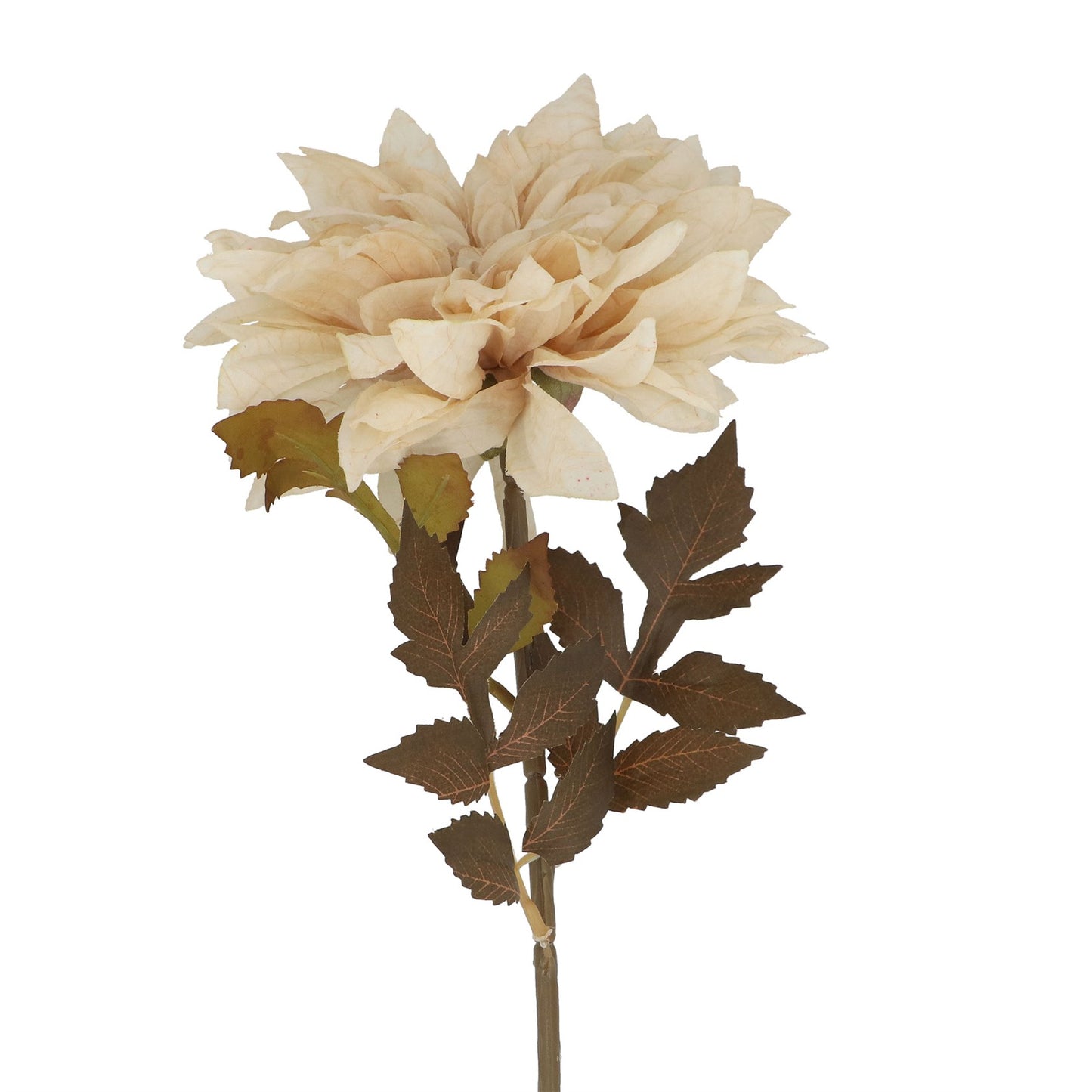 Flower 56cm - Antique Cream Dahlia