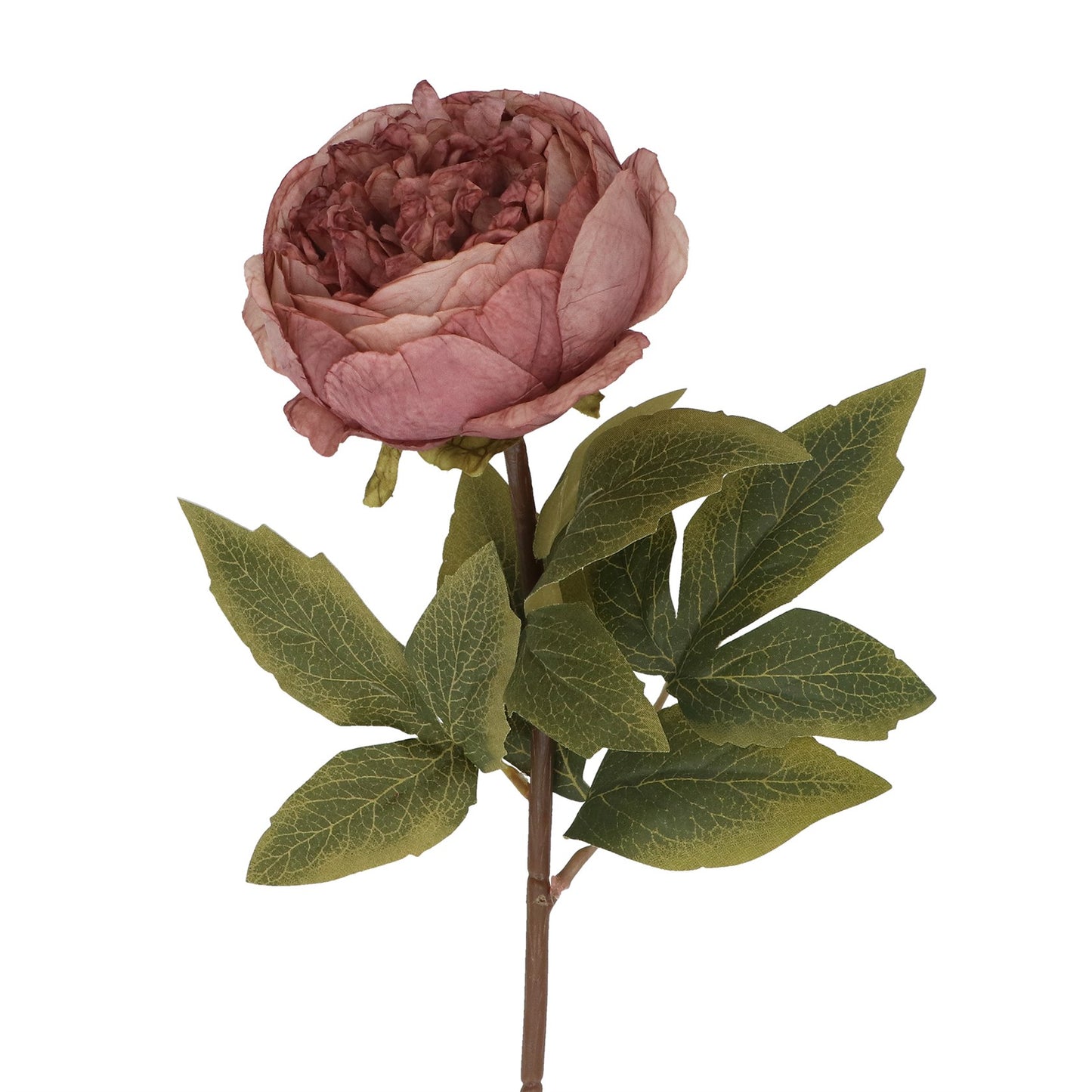 Dusky Mauve Peony – Artificial Flower Stem