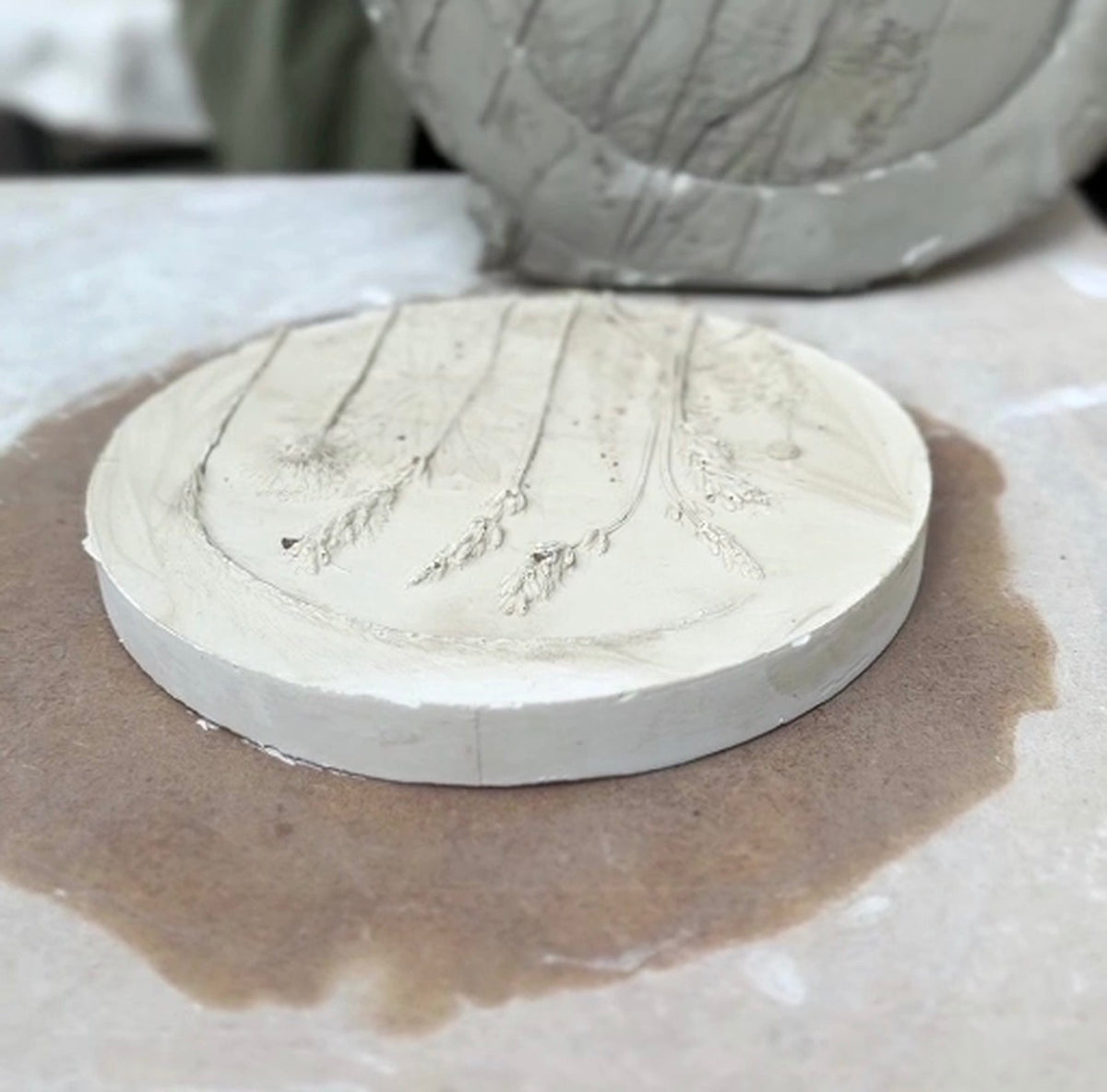 Botanical Bas-Relief Workshop