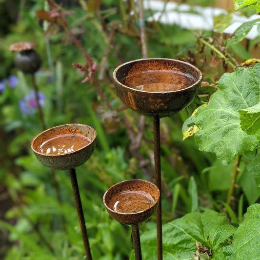 Rain Catcher | Plant Support