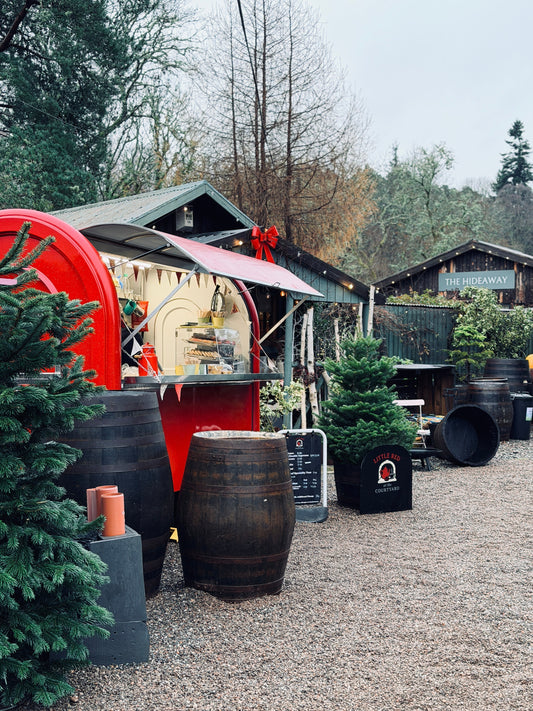 A Little Extra Magic This Christmas Season