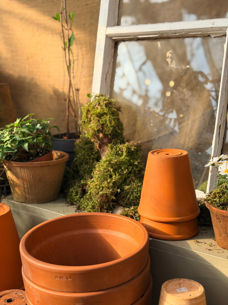 The Hidden Polytunnel