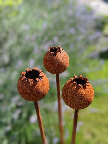 Rusty Metal Poppy Seedhead - Metal Garden Flower Sculpture -