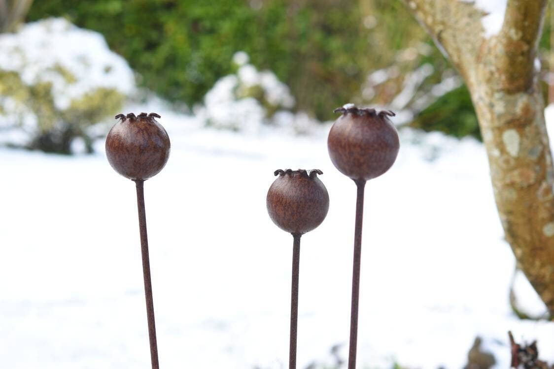 Rusty Metal Poppy Seedhead - Metal Garden Flower Sculpture -