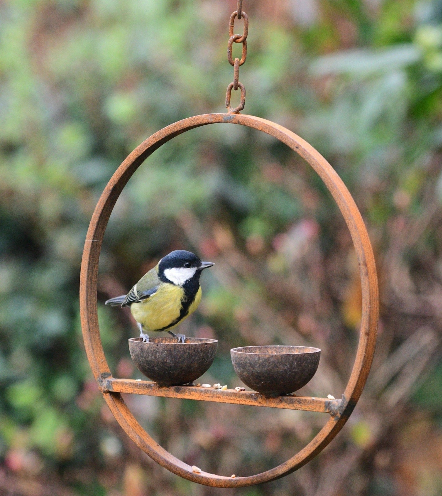 Double Hanging Bird Feeder Ring