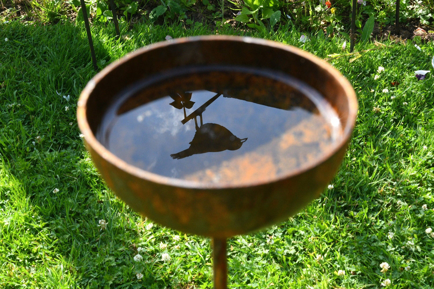 Rain Catcher  | Plant Support