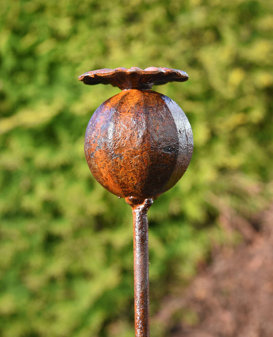 Metal Poppy Seedhead Sculpture