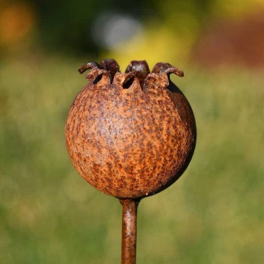 Rusty Metal Poppy Seedhead - Metal Garden Flower Sculpture -
