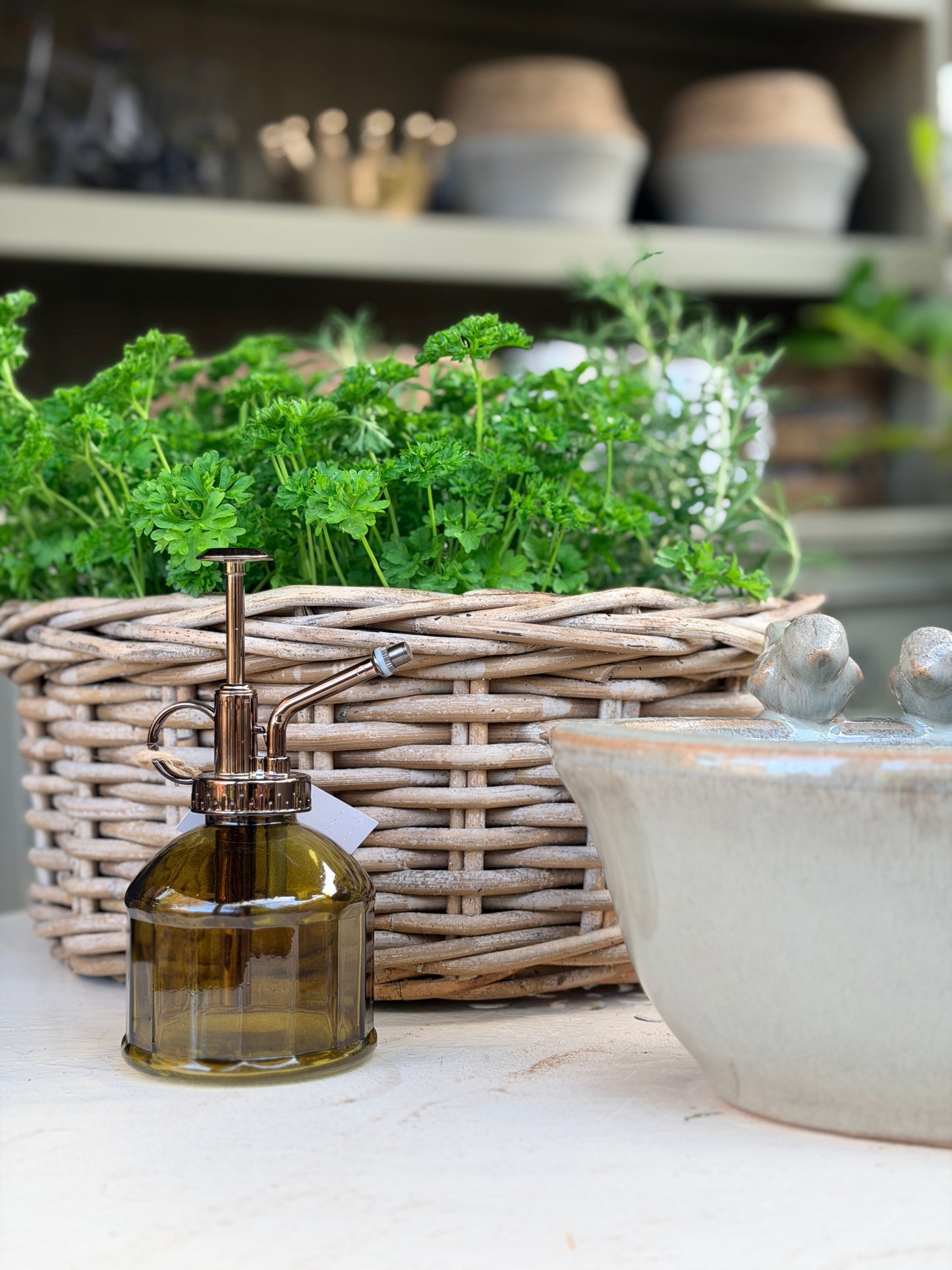 Olive Glass Plant Mister