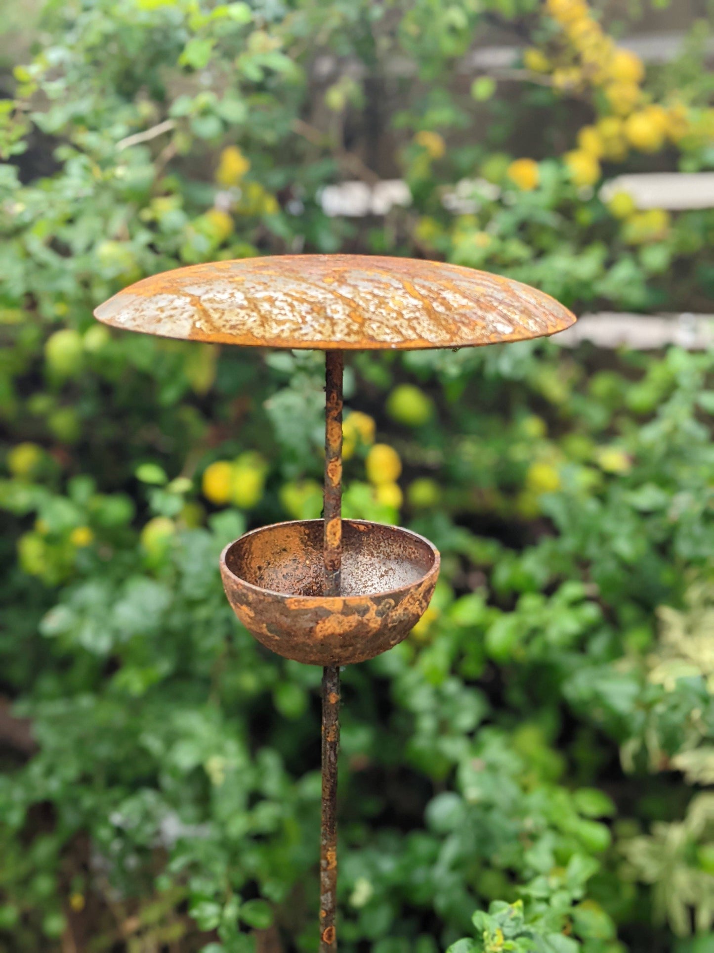 Bird Feeder Stake - Bird Feeding Station