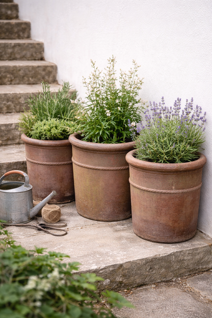 Errington Reay Salt Glazed Garden Pots