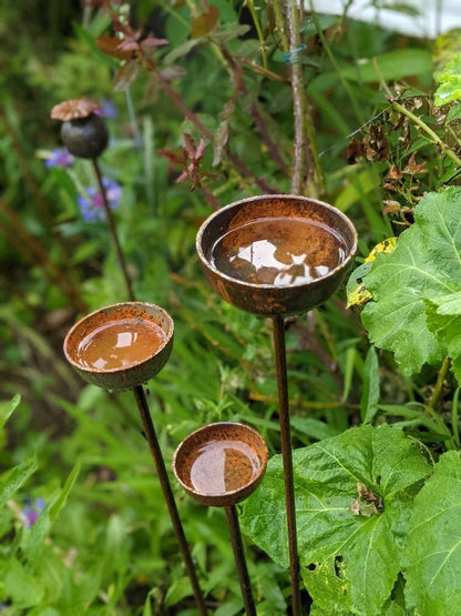 Rain Catcher  | Plant Support