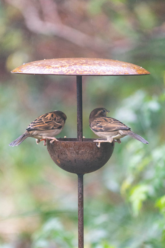 Bird Feeder Stake - Bird Feeding Station