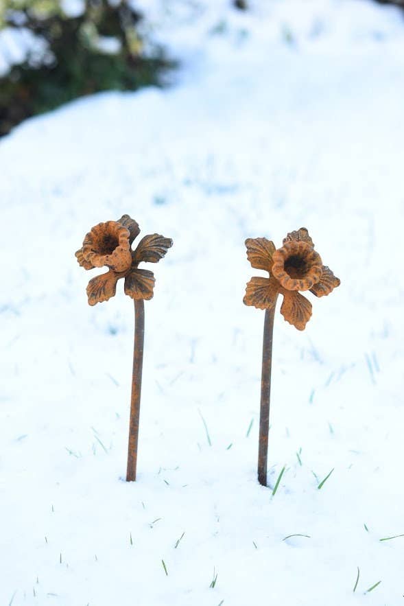 Daffodil Garden Sculpture - Rusty Metal Flower For Garden