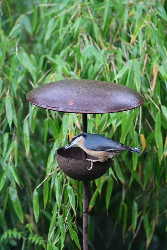 Bird Feeder Stake - Bird Feeding Station
