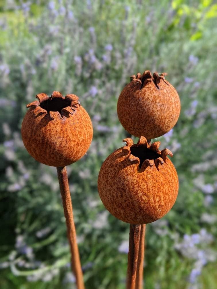 Rusty Metal Poppy Seedhead - Metal Garden Flower Sculpture -