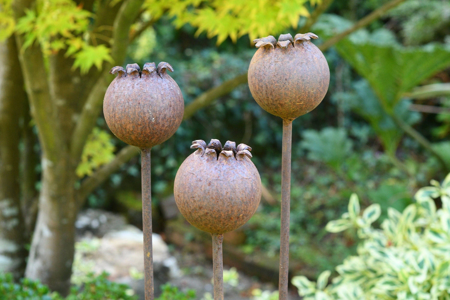 Rusty Metal Poppy Seedhead - Metal Garden Flower Sculpture -