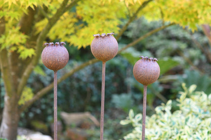Rusty Metal Poppy Seedhead - Metal Garden Flower Sculpture -
