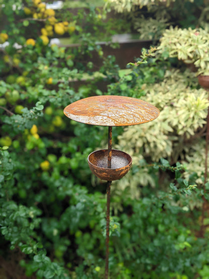 Bird Feeder Stake - Bird Feeding Station