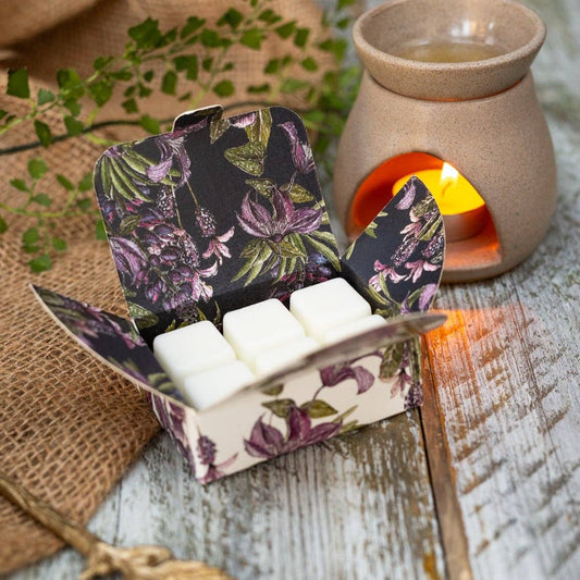 Wild Fig & Mulberry Soy Wax Melts (Mulberry Collection)