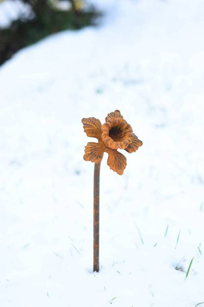 Daffodil Garden Sculpture - Rusty Metal Flower For Garden