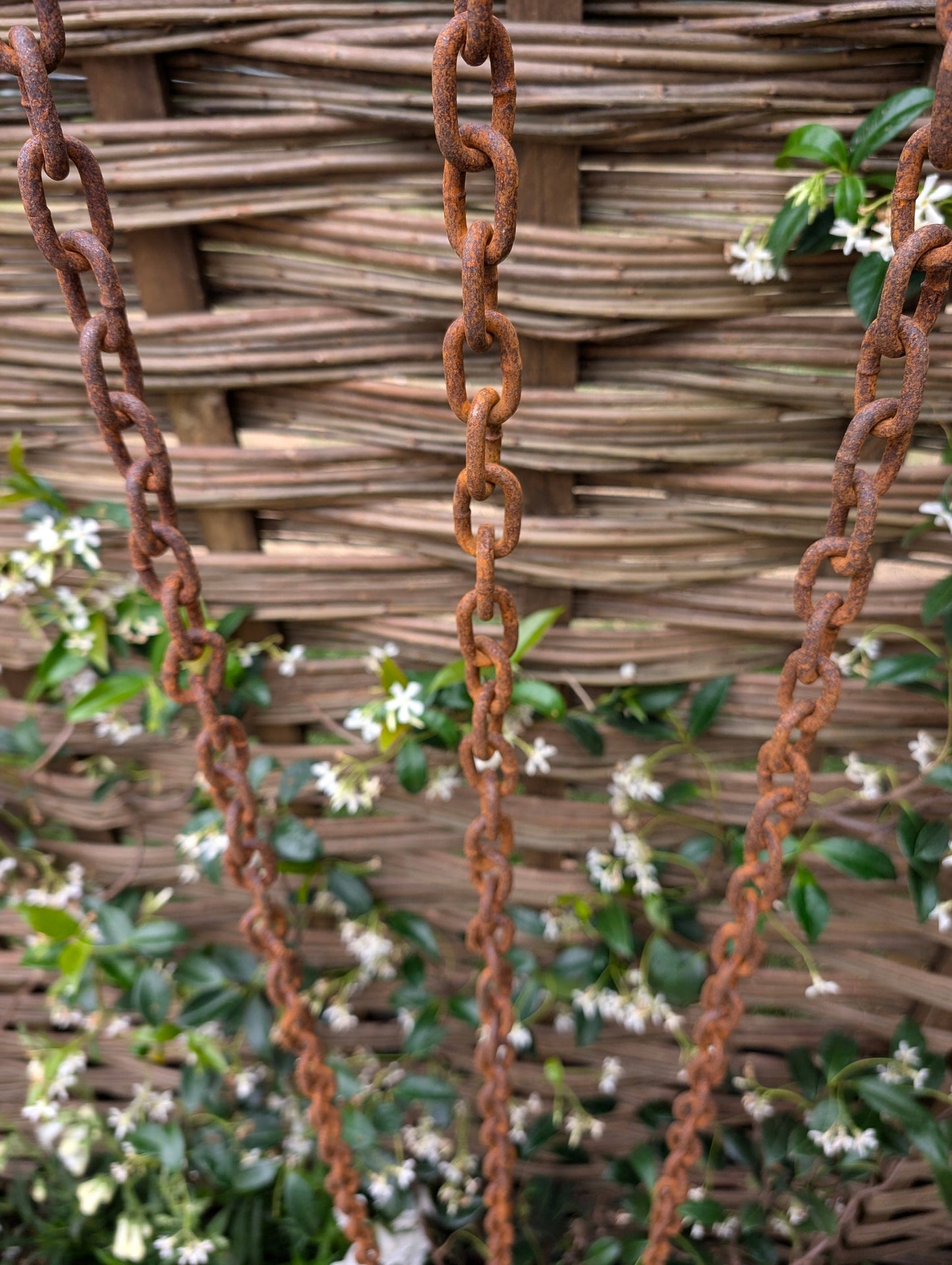 Rusty Rain Chains
